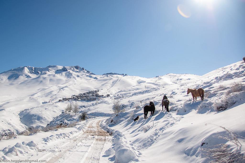 ואיה נבאדו Lodge Cordillera מראה חיצוני תמונה